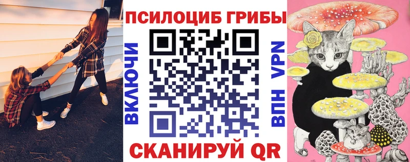 Псилоцибиновые грибы GOLDEN TEACHER Лангепас
